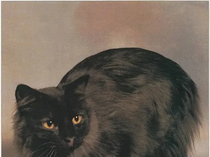 Chantilly-Tiffany