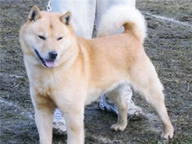 Hokkaido